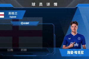 HWG！埃弗顿2450万镑签下米堡中场哈克尼！欣赏集锦吧！