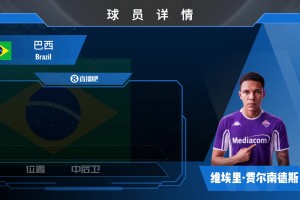 HWG！紫百合签下巴西年轻中后卫维埃里