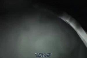 娱乐至死？现在的世界杯宣传曲vs以前的世界杯宣传曲！