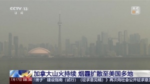 加拿大山火超800处！世界杯决赛观战人数超8万，可能受烟霾影响