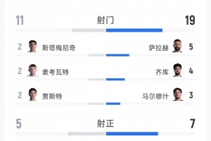 埃及对新西兰比赛全场数据：射门比19-12，射正比7-5，得分机会比5-3