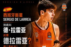 欧洲姓氏前缀有何含义?勒布朗的“Le”是否暗示中世纪贵族血统?